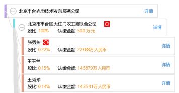 北京豐臺光電技術咨詢服務公司的技術咨詢價值與服務模式
