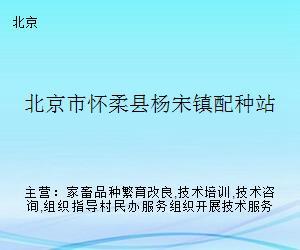 懷柔畜牧技術服務站 深化配種技術咨詢，助力鄉村振興